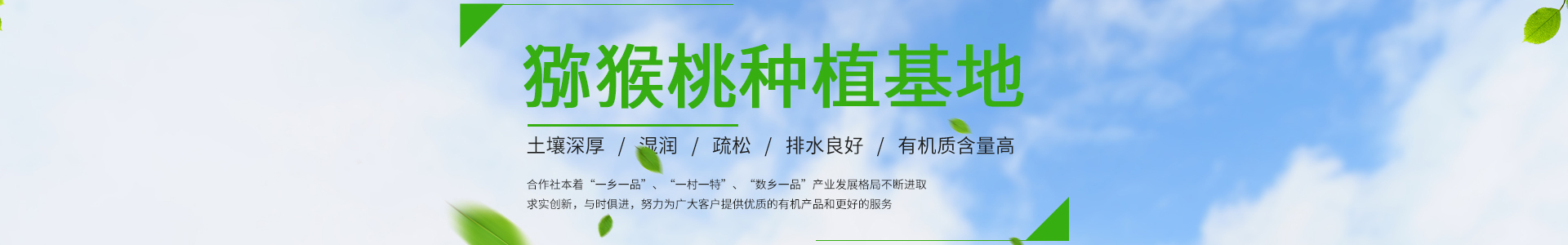 白菜导航网